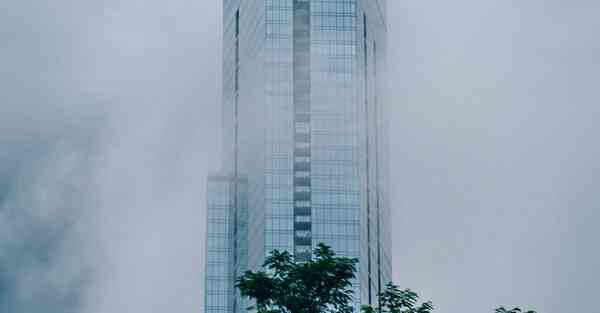 大数据影视软件