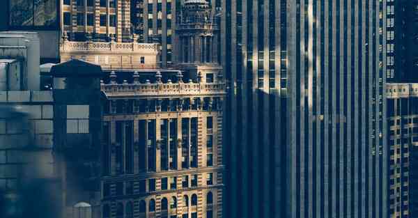 美国的AI识别技术，美国的AI识别技术发展