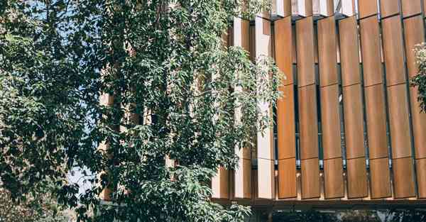 金融大数据的数据特点（金融大数据的数据特点是什么）