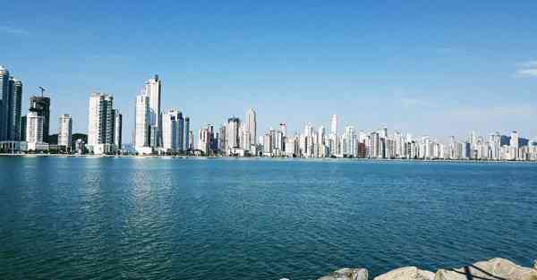 笔杆论文app一键出稿