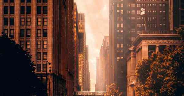 外国语单招大数据的行业文章