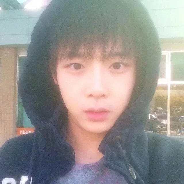 公羊晨瑞武