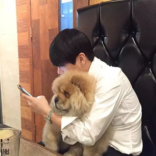 谭彦飘骅