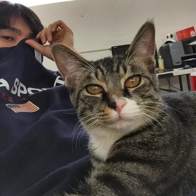 王锦霞凝