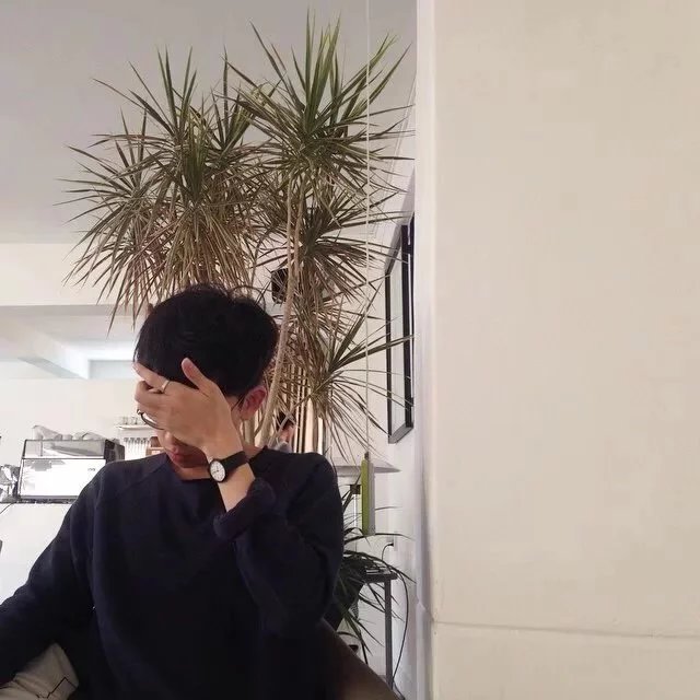 傅风芝华
