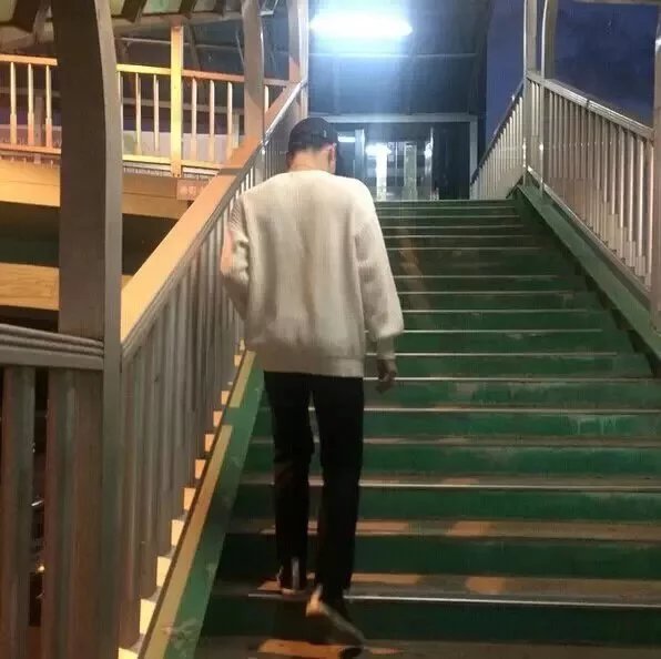 项莲启华