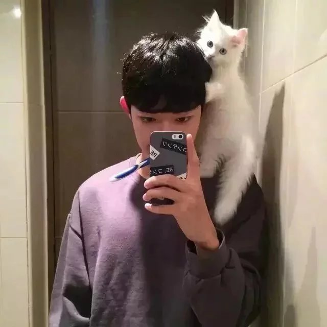 汪时佳朋