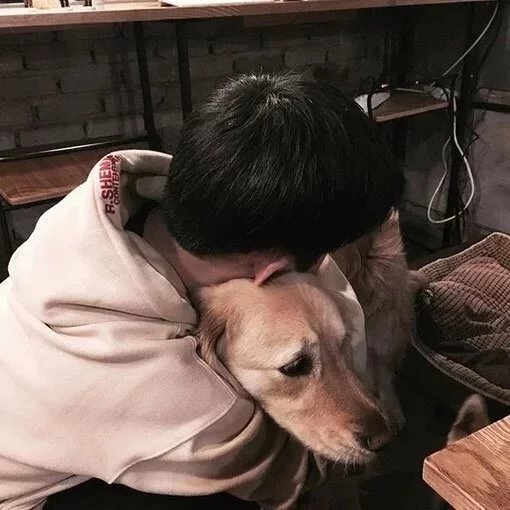 支罡新辉