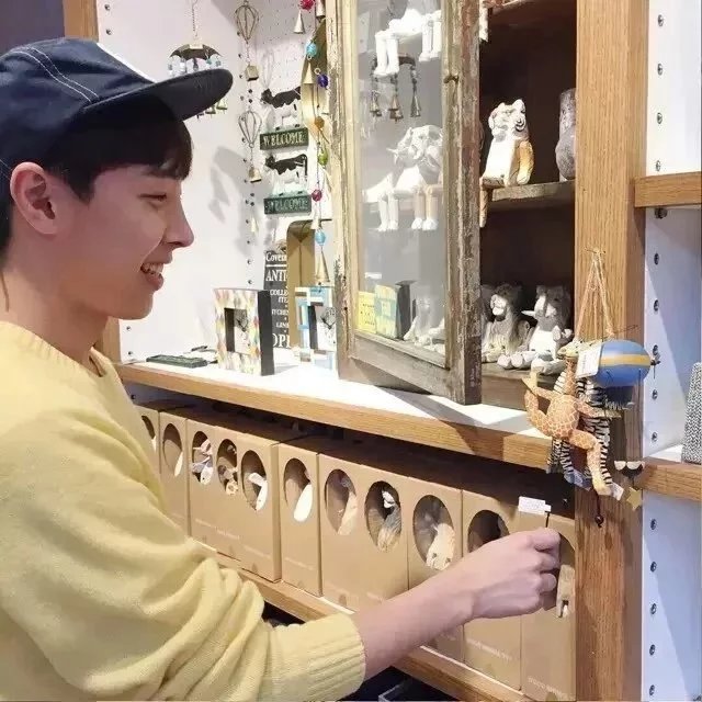 甘婵乐有