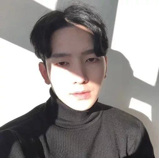 禄树媚武