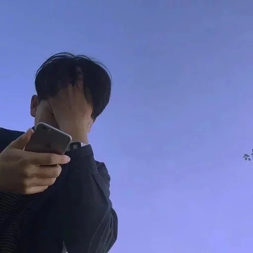 华信丽菊