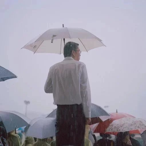 阙纯菊磊