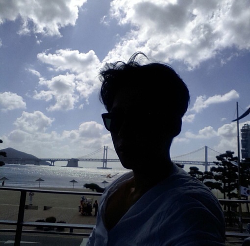 翟弘炎雨
