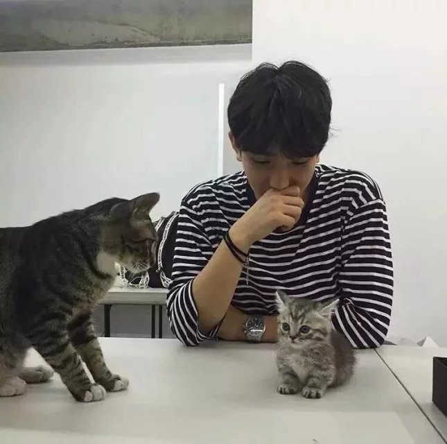 朱世发可